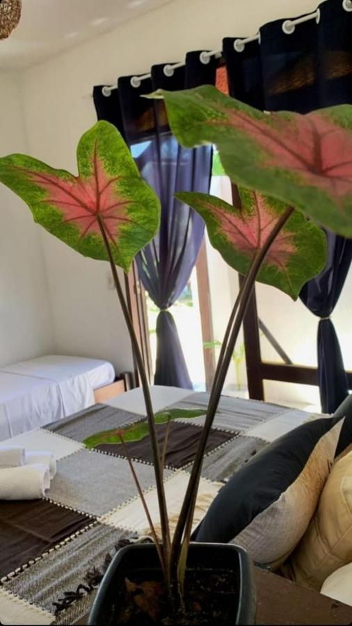 A Arca Pousada Praia de Pipa Ngoại thất bức ảnh